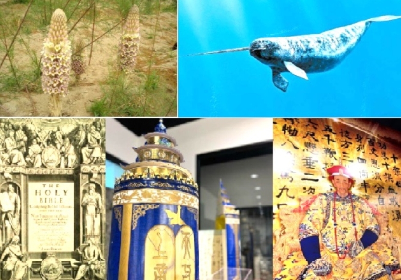 影音使團特備節目:步行探秘「不由你不信」福音體驗館