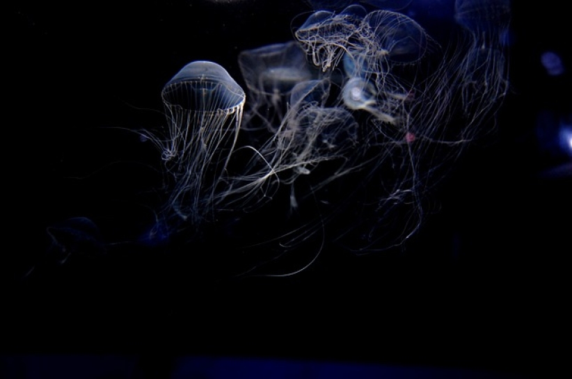 溫偉耀博士的信仰思考(中)為何說大自然的創造者就是《聖經》中的上帝?