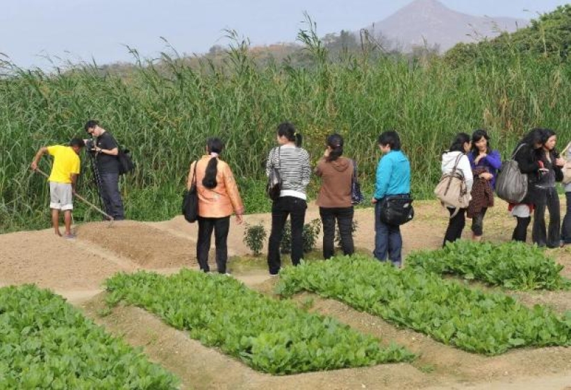 「新生園」戒毒青年與青年人互勉 堅強意志抗毒誘