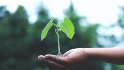 氣候變化婦女生計受損 國際組織助成立企業