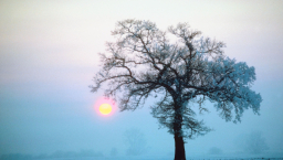 能源價格飆升 英教堂聯合解市民寒冬