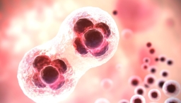 我是誰？英國首批「三親嬰兒」疑越過倫理底線