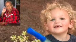 小男孩追玩氣泡 叢林尋回認知障礙老婦