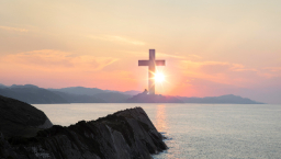 調查：7成機構財政收入持負面 8成不會暫停運作